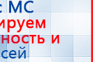 Пояс электрод купить в Рубцовске, Электроды Меркурий купить в Рубцовске, Скэнар официальный сайт - denasvertebra.ru